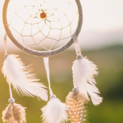 Art Adventures: Suncatchers