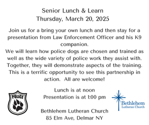 Senior Lunch and Learn (open to all ages)