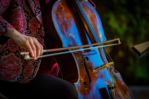 Music and Museum: Mexican Modernism