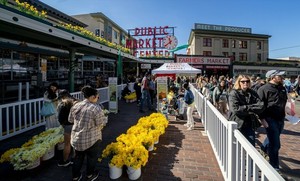 28th Annual Daffodil Day at Pike Place Market