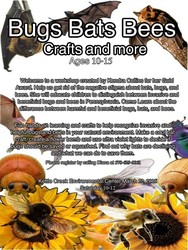 Bugs, Bats & Bees Program-Ages 10-15