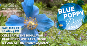 Blue Poppy Day