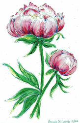 Nature Drawing at Blithewold with Artist/Instructor Joanne Murrman, BFA, M.Ed.