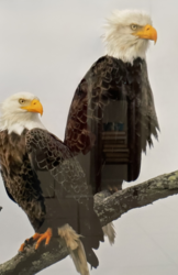 Meet Photo Artist Nancy Gallagher at the OCL Long Beach Island Branch