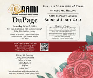 NAMI DuPage's Shine a Light Gala