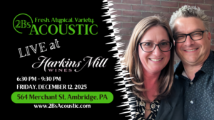 2Bs Acoustic hosted by Harkins Mill Wines