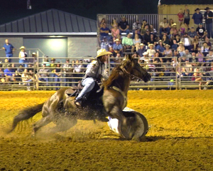 Tampa Bay Rodeo and Family Festival