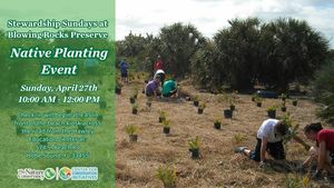Stewardship Sunday - Volunteer Planting Event