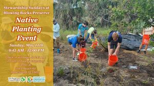 Stewardship Sunday - Volunteer Native Planting Event