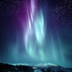 Bruce Beginnings: Northern Lights