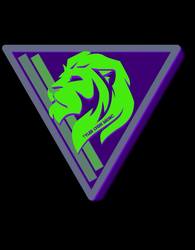 Tyler Lyon Music @ Llywelyn's Pub