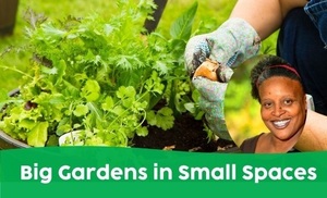 Big Gardens in Small Spaces