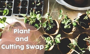 Plant and Cutting Swap