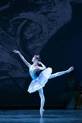 A&A BALLET’s Spring Performance of Sleeping Beauty Saturday, May 24, 2025