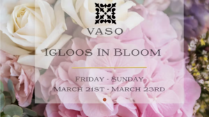 Igloos in Bloom at VASO Dublin