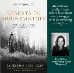 Deserts to Mountaintops at Nepenthe Gallery