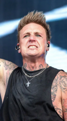 Papa Roach & Rise Against at Credit Union 1 Amphitheatre