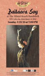 Ballet Flamenco La Rosa