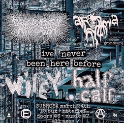 Arrythmia / Wifey / Half Calf / I've Never Been Here Before