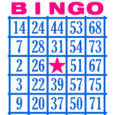 Book Bingo at Vineland Public Library
