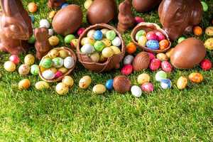 The Osborn’s Easter Egg Hunt