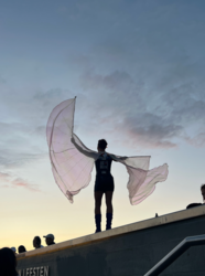 The Bristol Art Museum's Flights of imagination