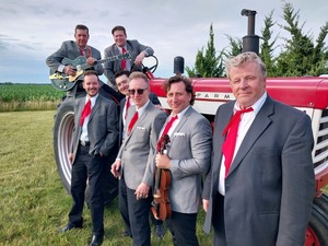 Gin Palace Jesters Live @ McAuliffe's Pub