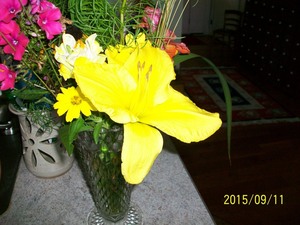 Bloomfield Garden Club Plant Sale