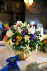 RI Daffodil Society Preview Party