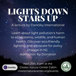 Lights Down, Stars Up