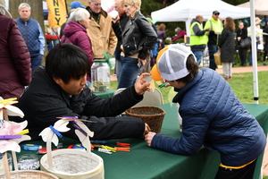 Daffodil Festival and Earth Day Fair