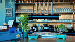 Bonsai & Brews at Grand Central Brewhouse | St Petersburg