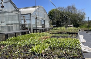 Spring Plant Sale 2025