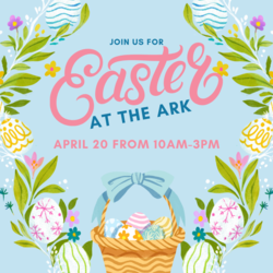 Easter at the Ark