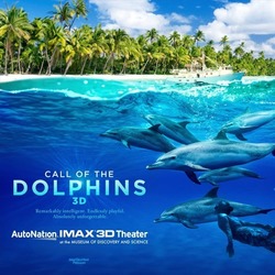 Call of the Dolphins at the AutoNation® IMAX® 3D Theater at the Museum of Discovery and Science