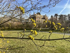 2025 Opening Day at Old Westbury Gardens!