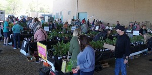 Williamson County Master Gardeners Association Garden Festival and Plant Sale