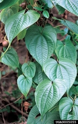 Natural History Speaker Series