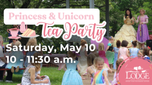 Princess & Unicorn Tea Party