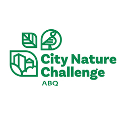 City Nature Challenge Hike at Piedras Marcadas Canyon