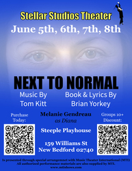Next to Normal (Musical) at Steeple Playhouse