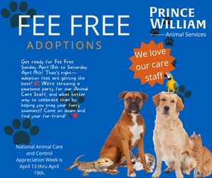 Fee Free Adoption Week
