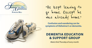 Dementia Education and Support Group: The Dementia Action Plan