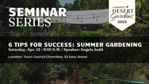 6 Tips for Success: Summer Gardening