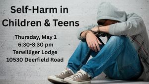 Self-Harm in Teens Presentation