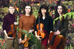 Tea Time Concert: Varo String Quartet Plays Haydn & Ligeti