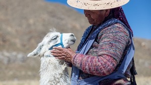 A Mother Earth Day Celebration: Honoring the Planet and its Stewards