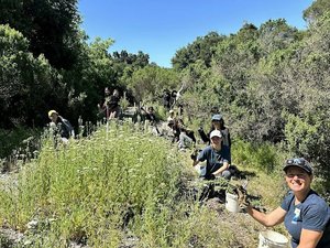 Womxn+ in the Weeds Workday: Volunteer at Pearson-Arastradero Preserve
