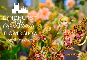 Lyndhurst Flower Show and Spring Market