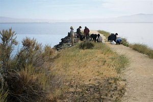 Volunteer Outdoors in East Palo Alto at Cooley Landing